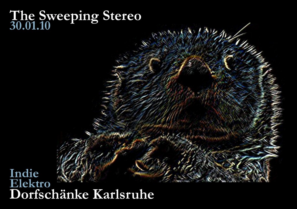 sweeping-januar-2010